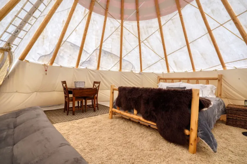 Buffalo Glamping Tipi with King Bed in Black Hills - Image 1
