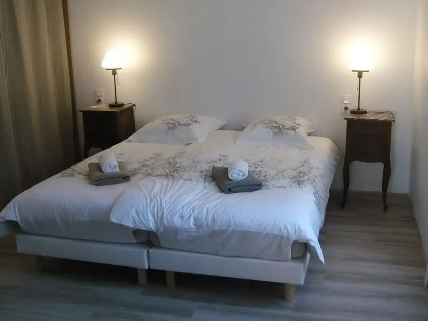 Maison des écluses Strasbourg F3 90m2 Jacuzzi Climatisation - Image 1