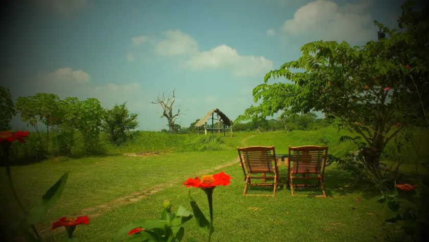 Jungle House Yala - Image 1