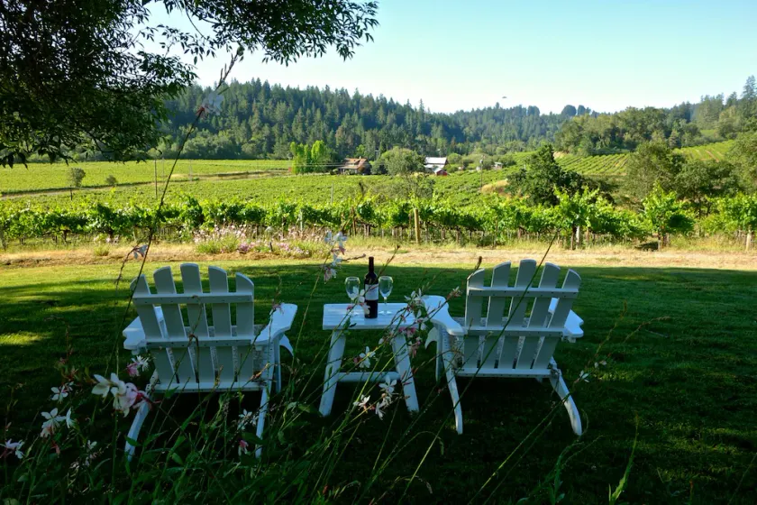Private 3-Acre Vineyard Estate with Extraordinary Views - Image 1
