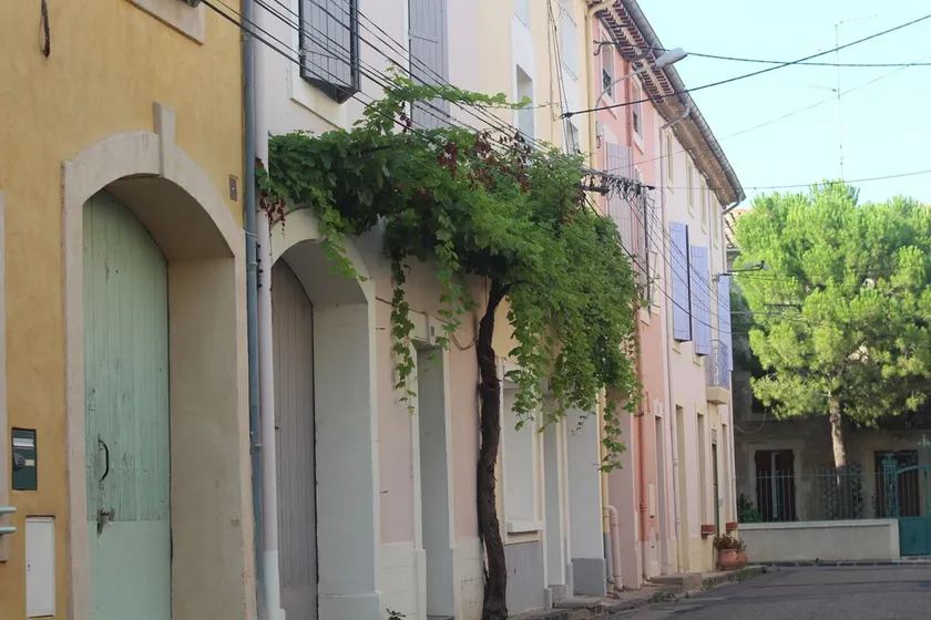 Bella casa d'epoca in un villaggio nel cuore della regione della Linguadoca - Image 1