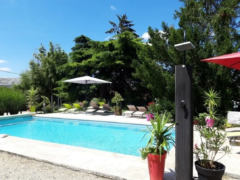 GITE 3* SWIMMING POOL SPA BEAUVAL CHATEAUX FUTUROSCOPE air-conditioned - Image 1