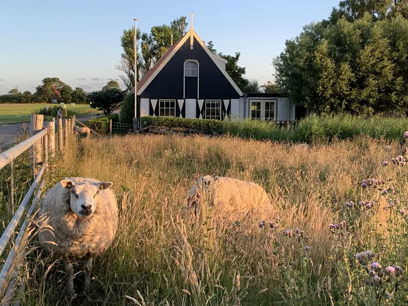 On the most beautiful spot of eastern Texel. - Image 1