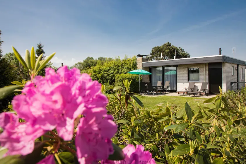North Sea vacation home Tossens I - North Sea vacation home Tossens - Image 1