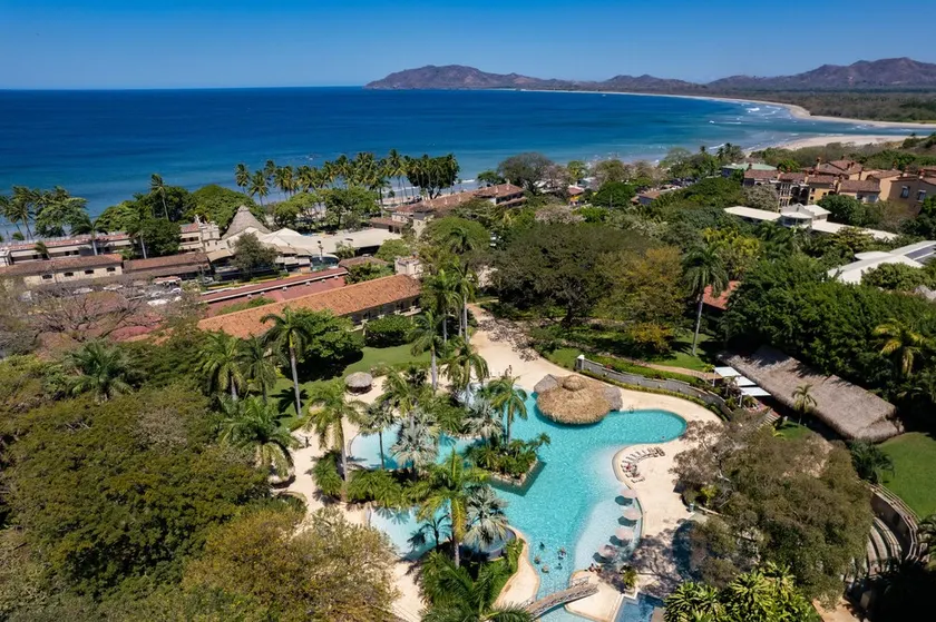 Matapalo Diria #504 Amazing Condo-Ocean View - Image 1