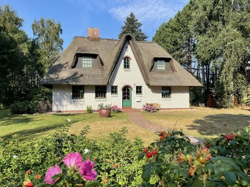 Haus-Seemoewe - Image 1