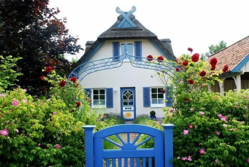 Möwennest - Image 1