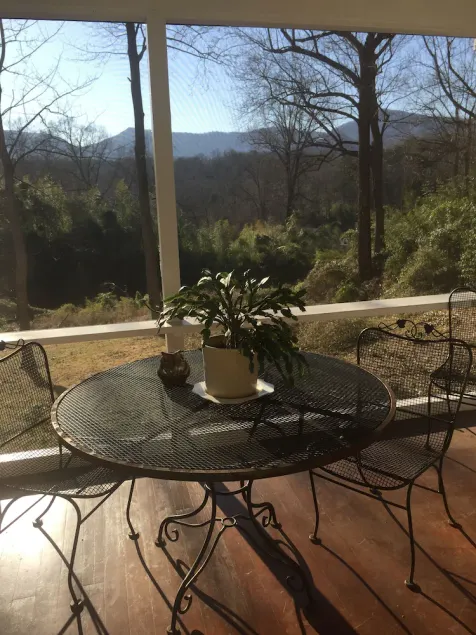 Tryon Love 2 min walk to downtown. Wood fireplace. Monthly rentals only. - Image 1
