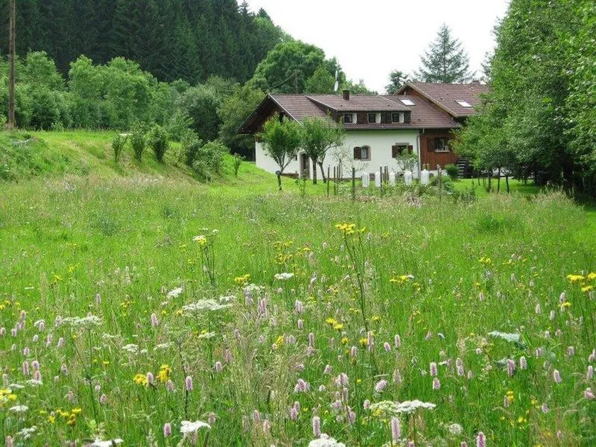 La Scierie - Image 1