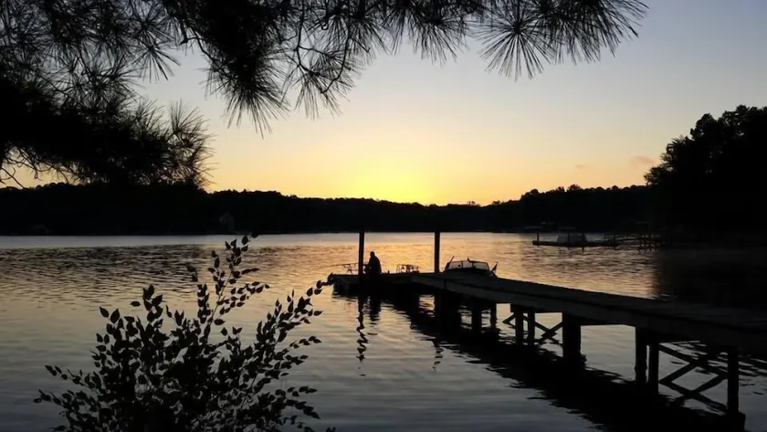 Cozy Cottage: 180’ Shoreline, Panoramic View of Cove & Lake; Pet Friendly, WiFi. - Image 1