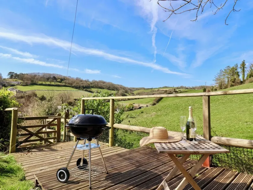 Beer View Cottage - Image 1