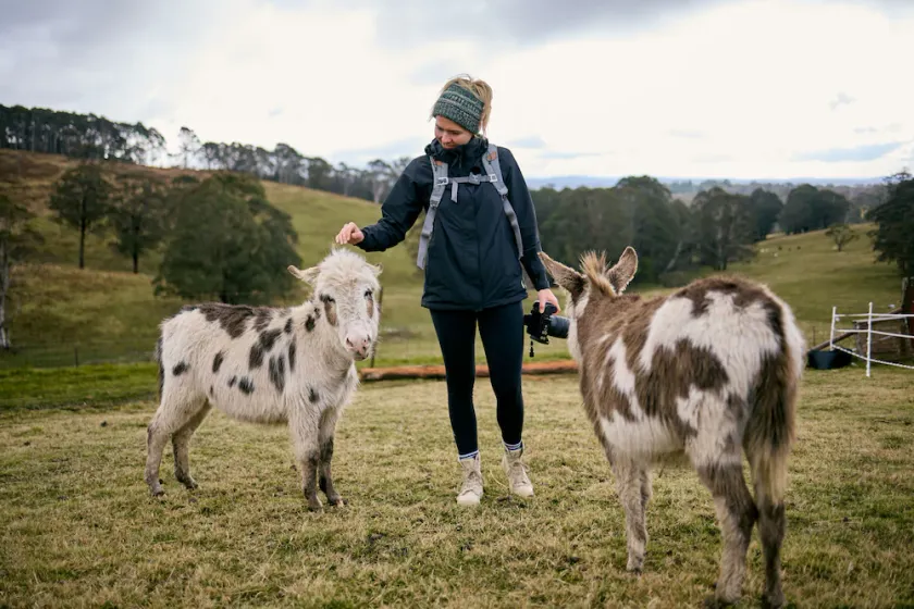Ultimate farmstay experience - 5 minutes from Jenolan - Image 1
