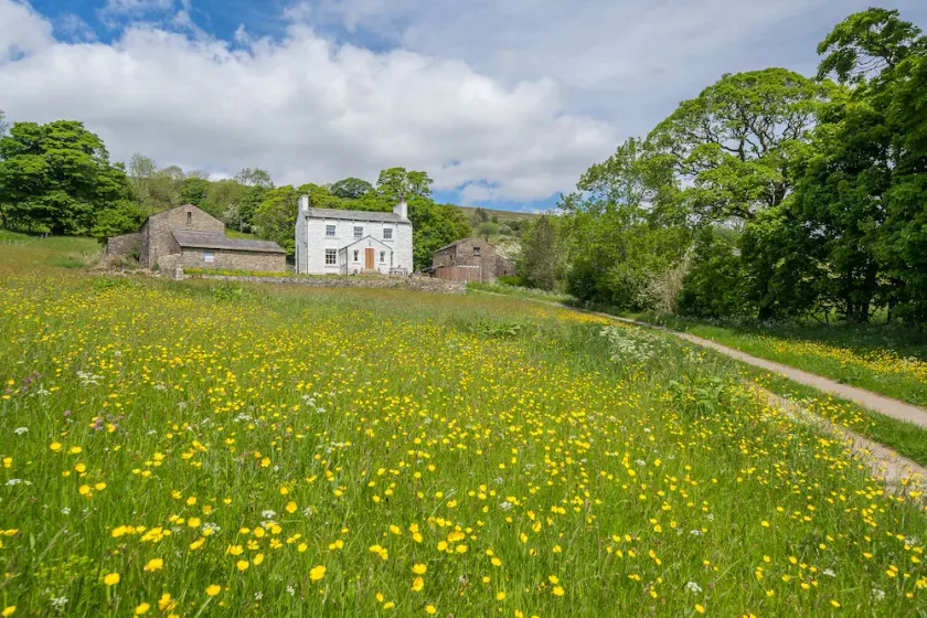 Deluxe Cottage with two acres of landscape - Image 1