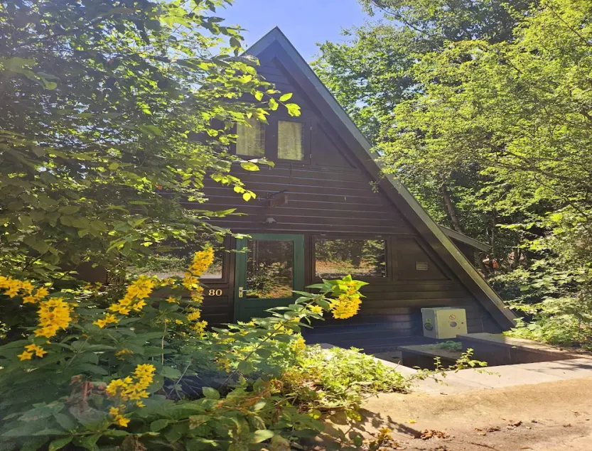 Contemporary Ardennes Chalet in Durbuy - Image 1