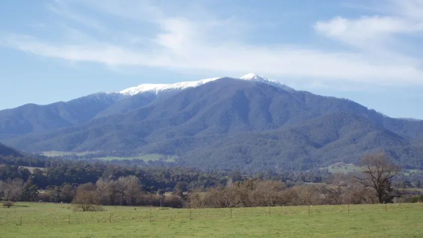 Bogong View ...>>>>> - Image 1
