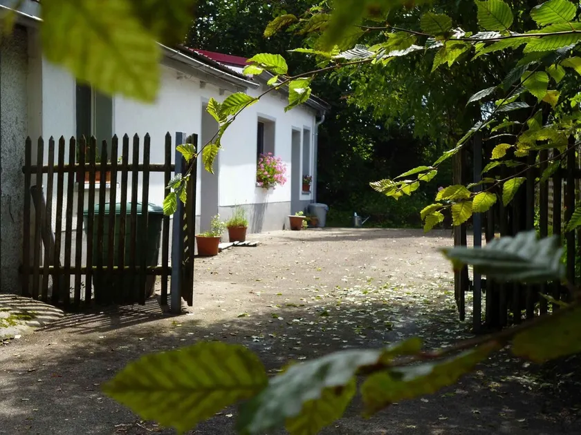 3-room vacation apartment in the Allgäu with garden and wood-burning stove - Image 1