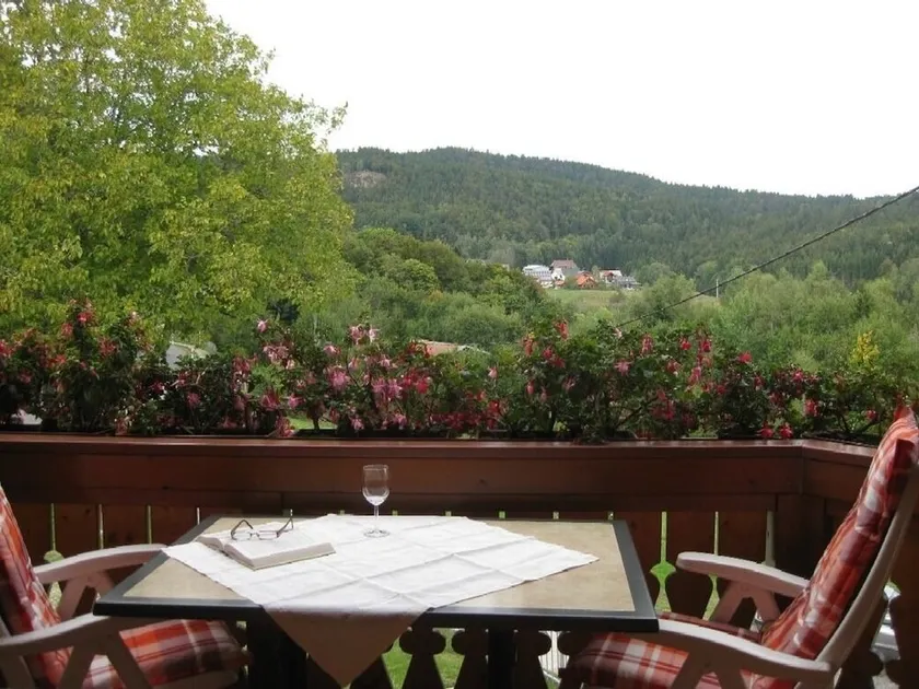 Ferienwohnung/app. für 2 Gäste mit 45m² in Dachsberg - Image 1