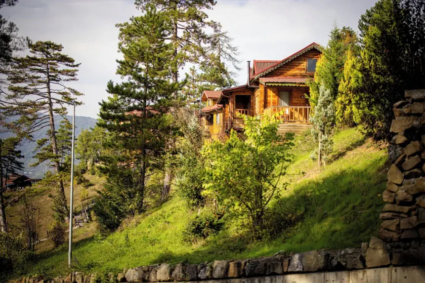 Ihlamur Teras Yenice - Image 1
