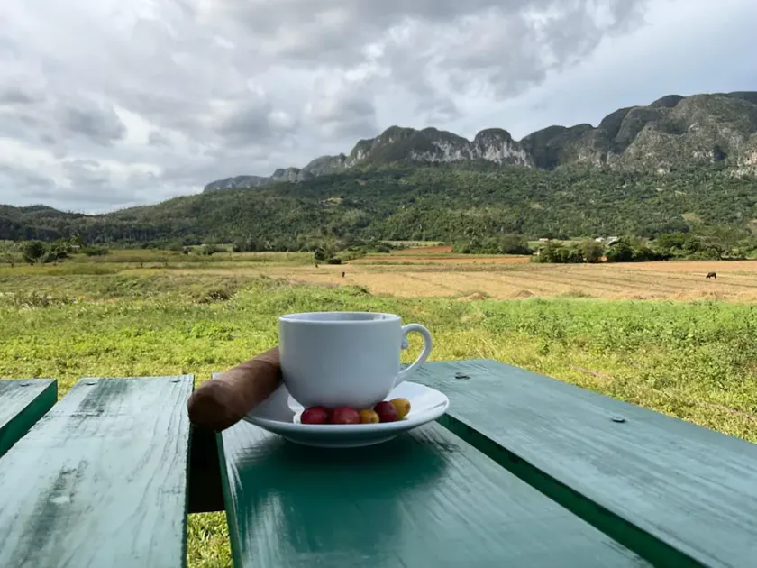 Casa La Ruta del Cafe - Image 1