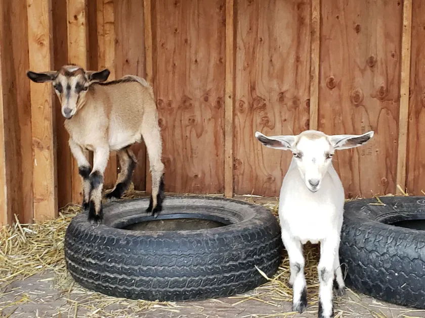 Pays calme dans une ferme, entrée privée, cheminée - Image 1
