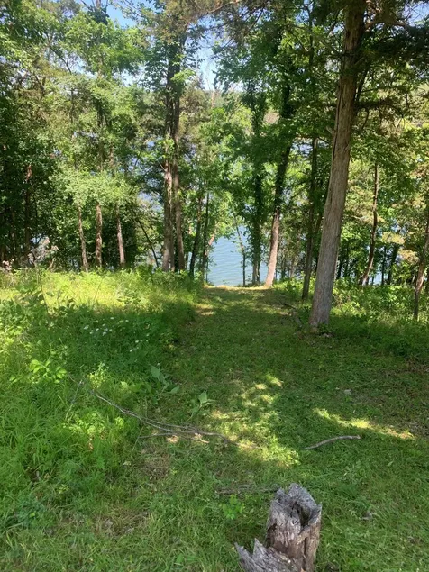 Upscale Lakefront Table Rock Cabin with nearby Launch - Image 1