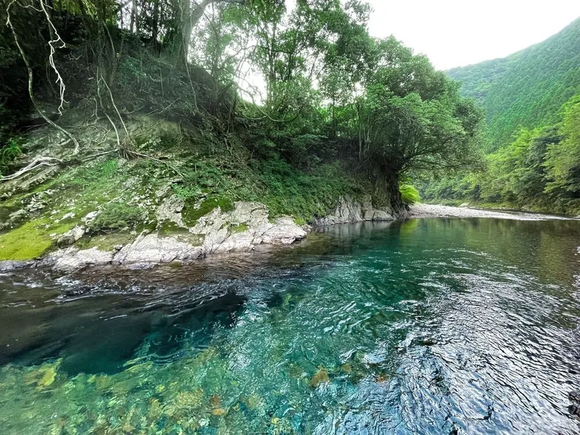 Kumano shiki-tei - Image 1