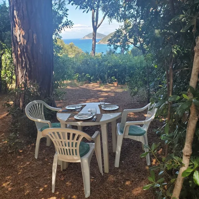 Olive house - Image 1