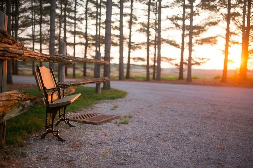 Risvegliati con la bellezza della natura al Whispering Pines Retreat! - Image 1