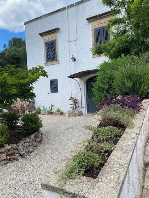 Casina Fumarola parmi les anciens oliviers - Image 1