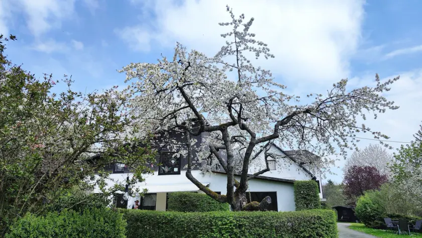 Vacation apartment/apartment for 5 guests with 74m² in Hallenberg (187959) - Image 1