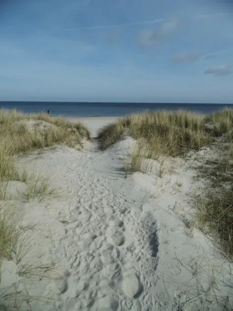 Bella casa per le vacanze proprio sulla bellissima spiaggia del Mar Baltico - Image 1