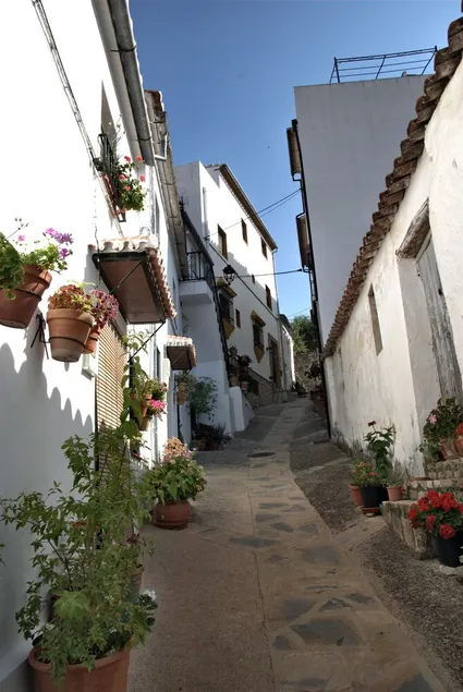 The countryside of Cruzchiquita - Image 1