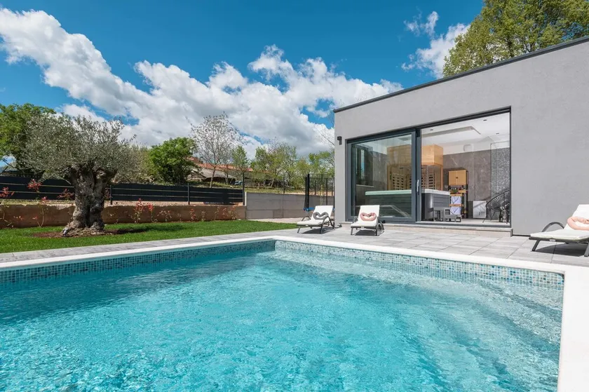 Spaziosa villa totalmente attrezzata con barbecue, piscina privata e sauna | Ammette cani - Image 1