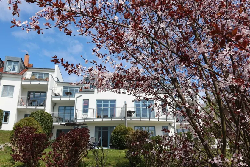 Apartment, Herrmann, Apt 39, Zinnowitz -. \"Residenz-Bellevue\" exclusive holiday homes - Image 1