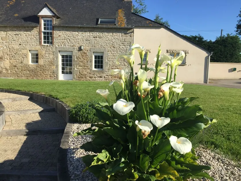 GITE DES QUATRE VENTS - Image 1