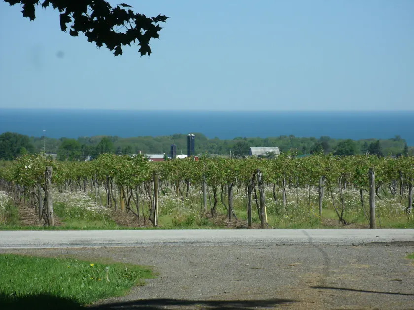 The Home Stead House at Arwen Farms - Image 1