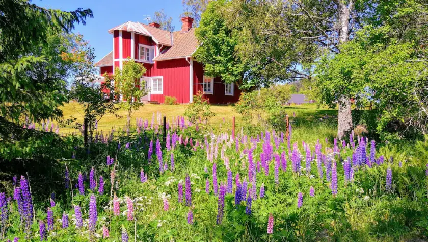 Stort hus tæt til sø med egen robåd - velegnet til 2 familier - Image 1