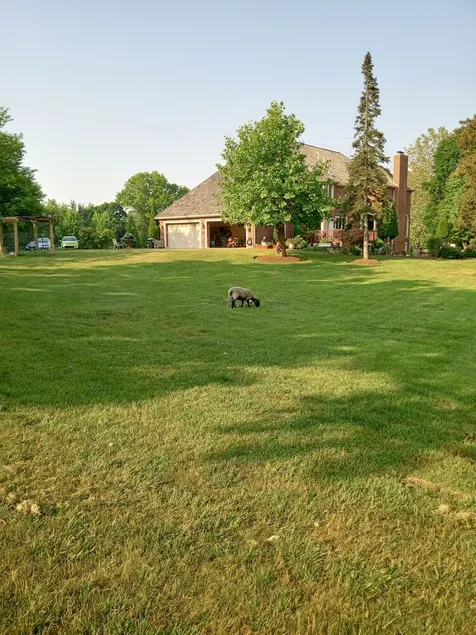 Perfect Family Getaway: Spacious 5BR Home in Barrington - Image 1