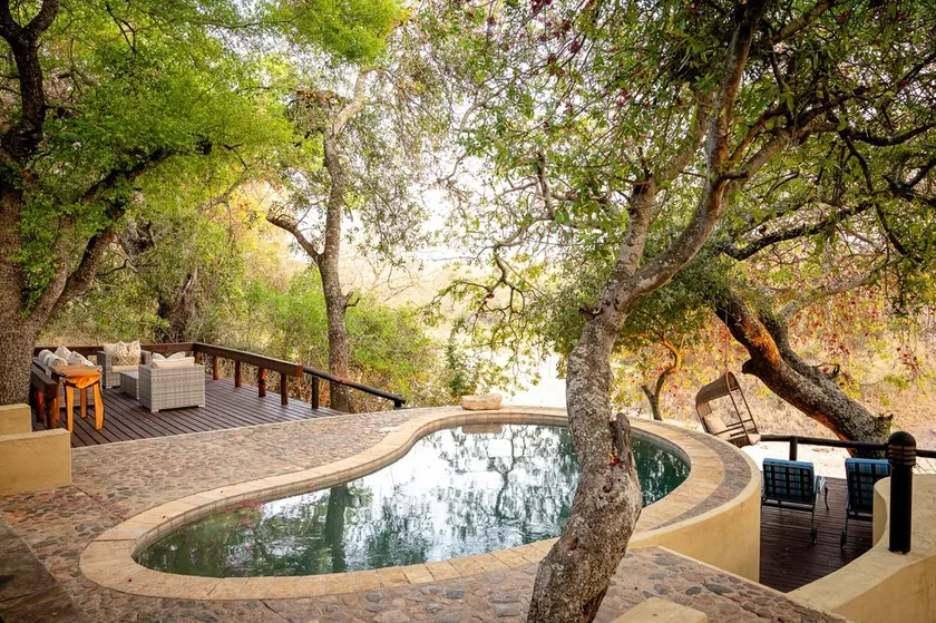 Shimungwe Lodge, Thornybush Game Reserve - Image 1