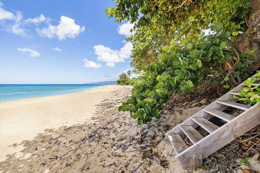 Pacific Pearl Beachfront Estate - Image 1