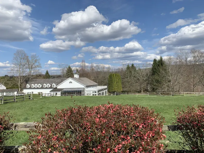 Country Living at its best in this Sharon Estate with indoor pool* - Image 1