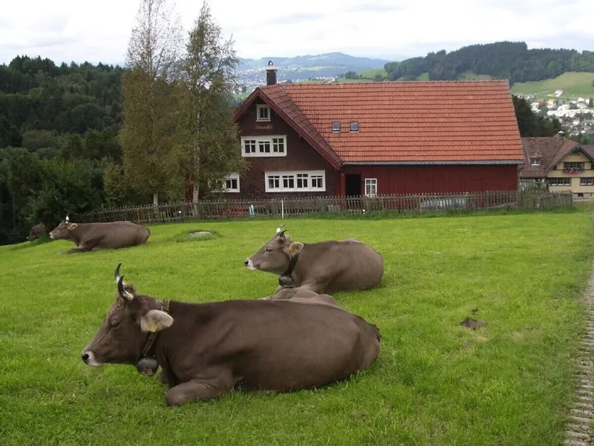 Acogedora y antigua granja de Appenzeller para vivir sola - Image 1