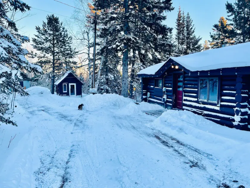 North Shore Tiny Log Cabin Retreat - Image 1