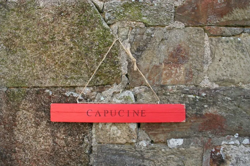 Capucine, maison en pierre pour 4 personnes à Callac de Bretagne - Image 1