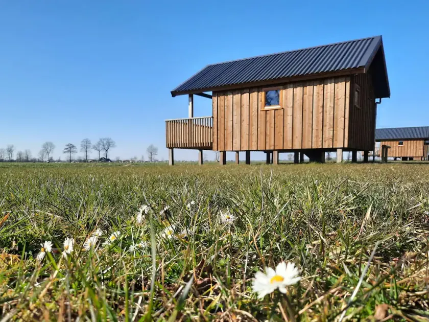 Atmospheric Lodge With Unobstructed View, Located in Beautiful Drenthe - Image 1
