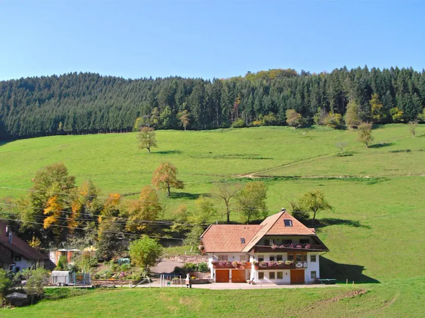 Comfy Apartment in Salmensbach near River - Image 1