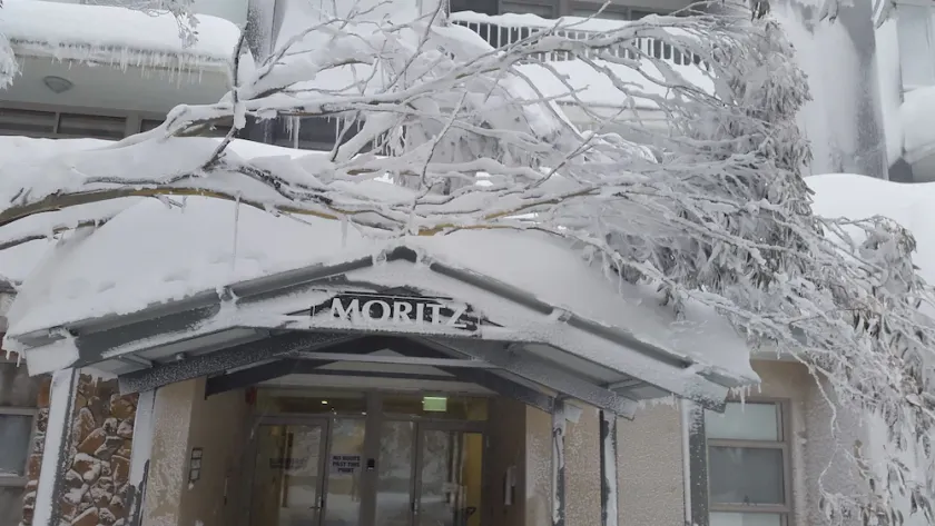 Alpine Bliss at Moritz (Hotham) -  2 under cover parks - Image 1