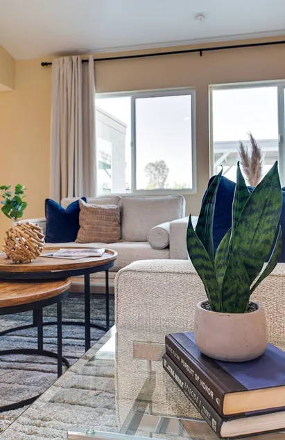 Heatherbrae Phoenix - Image 1