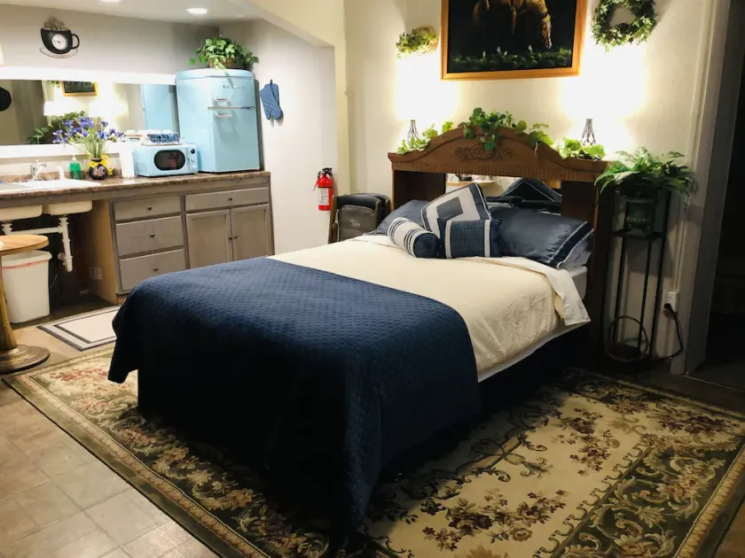 Deluxe Single Queen Suite Futon & Kitchenette - Image 1