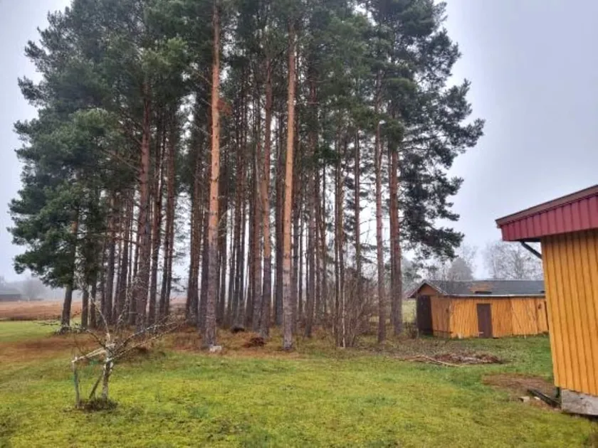 5 person holiday home in Dala-Järna - Image 1